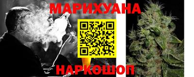амф Гай