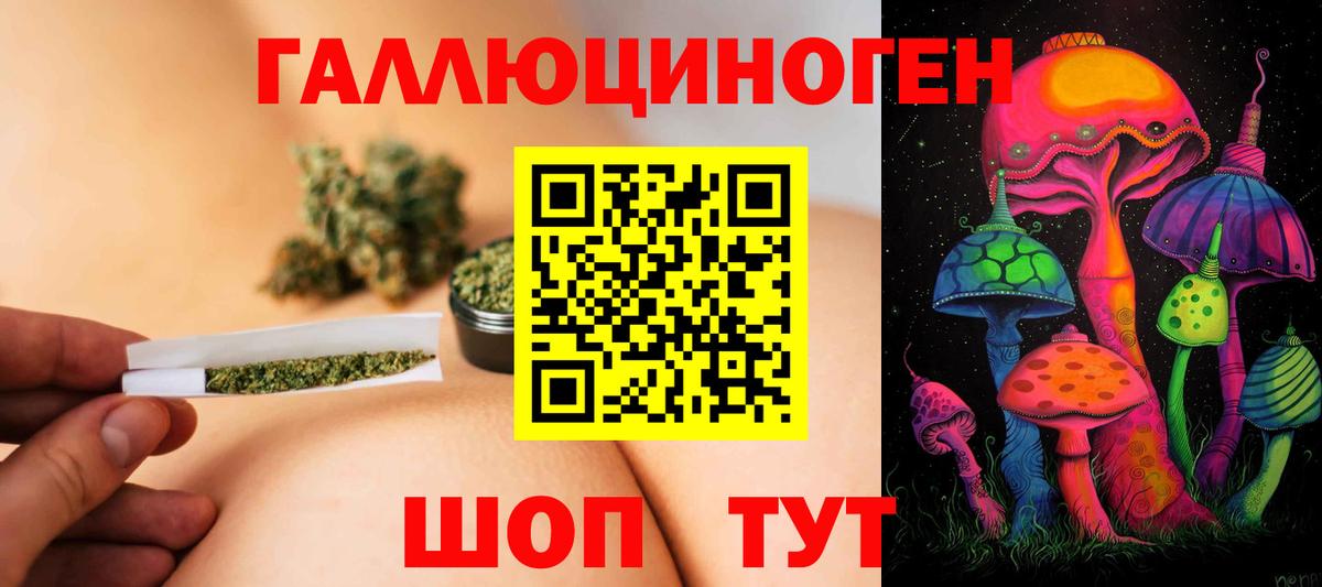 Галлюциногенные грибы Cubensis Братск
